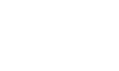 0000s 0002 Veeam White